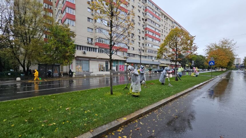 uriasa suma pe care o cheltuie primariile din bucuresti pe tuns iarba si plantat copaci 1 miliard de euro 6a4ec96519337
