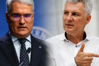 daniel zamfir conflict pe facebook cu dragos pislaru te ai suit ca scroafa n copac tupeu neomarxist 6a7e942c721df