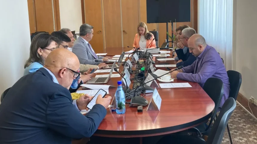intalnirea ilie bolojan simina tanasescu psd aur si pace au votat in senat initierea unei anchete parlamentare primele audieri pe 26 august 6a84126c1c471