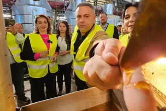 ministrul psd florin barbu asmute institutiile statului asupra jurnalistilor pentru a si ascunde legaturile cu regina achizitiilor publice mihaela neagu 6a6f13f87dbaf