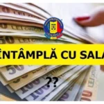 niculina stelea senator aur adio 770 de milioane de euro din pnrr 6a86c5cbc8c70