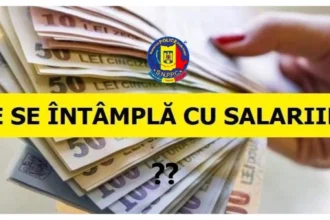 niculina stelea senator aur adio 770 de milioane de euro din pnrr 6a86c5cbc8c70