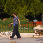 noi politici implementate prin codul urbanismului mai multe spatii verzi conditii mai bune pentru pietoni si biciclisti 6a86c8104c811