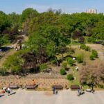 speed dating cu fluturii de noapte joia viitoare in parcul tineretului bucurestenii vor putea admira mai multe specii 31e8d4ec
