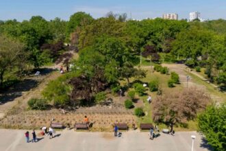 speed dating cu fluturii de noapte joia viitoare in parcul tineretului bucurestenii vor putea admira mai multe specii 31e8d4ec