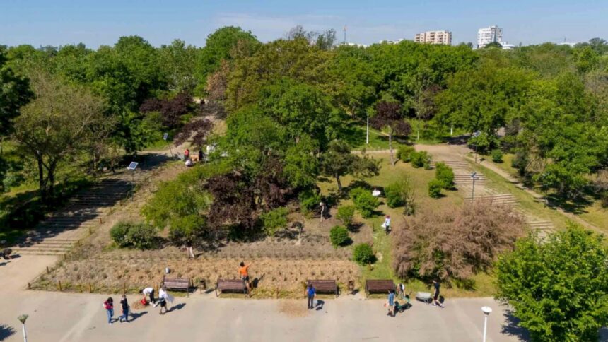 speed dating cu fluturii de noapte joia viitoare in parcul tineretului bucurestenii vor putea admira mai multe specii 31e8d4ec