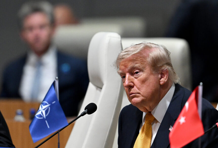 statele nato din europa de est se dau bine pe langa trump i au pregatit liderului sua o oferta financiara 6a899c31a7987