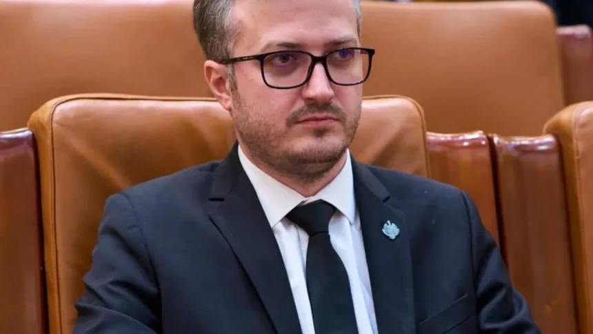 stefanita avramescu aur spune ca decizia ccr privind declaratiile de avere reprezinta o dubla masura 6a8466c4a64cb