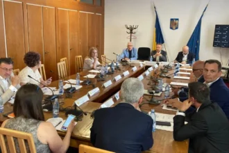 udmr l a persiflat pe nicusor dan si l a trimis in suedia replica taioasa a unui consilier prezidential in controversa impuscarii ursilor 6a8c2efc5927d