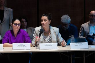 cine este ioana ciocan agreata de nicusor dan pentru sefia ministerului culturii legaturile cu primaria capitalei 29cbd1ad